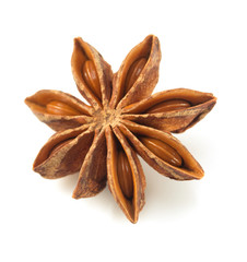 anise star on white background