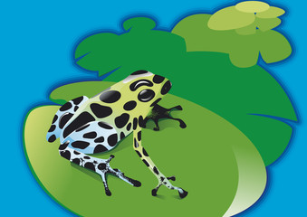 Grenouille empoisonnée