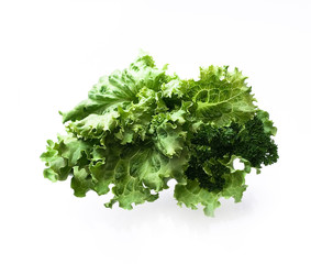 Obraz premium Salad leaf. Lettuce isolated on white background