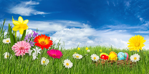 Fototapeta na wymiar colorful easter meadow with nest and flowers in front of blue sky