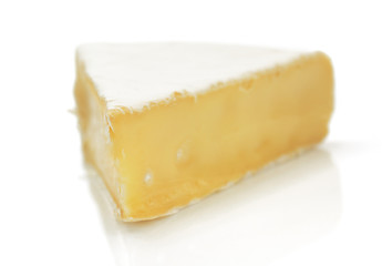 piece of cheese cheese isolated on white