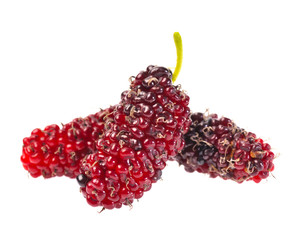 mulberry isolated on white background