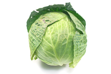 Obraz premium Fresh young cabbage isolated on white
