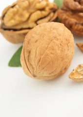 walnuts on white background