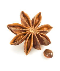 anise star on white background