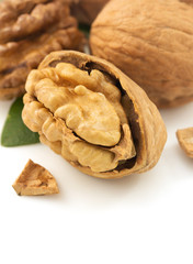 walnuts on white background