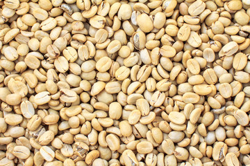 Green coffee beans for background and design