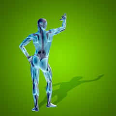 Conceptual 3D human man health anatomy on green