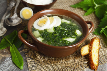 Soup of sorrel and nettles with eggs - 104837724