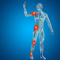 3D human man pain anatomy on blue background