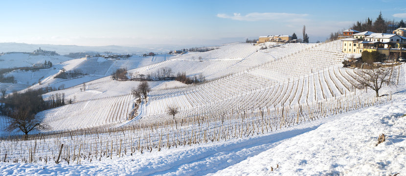 Langhe snowed vineyards, wintertime. Color image 