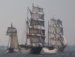 Segelschiffe bei der Regatta
