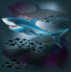 Underwater wallpaper with White Shark, vector illustration