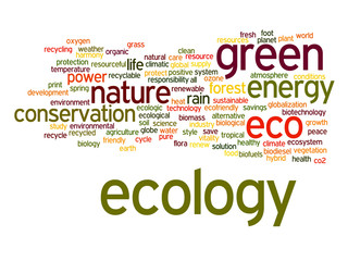 Conceptual ecology word cloud isolated