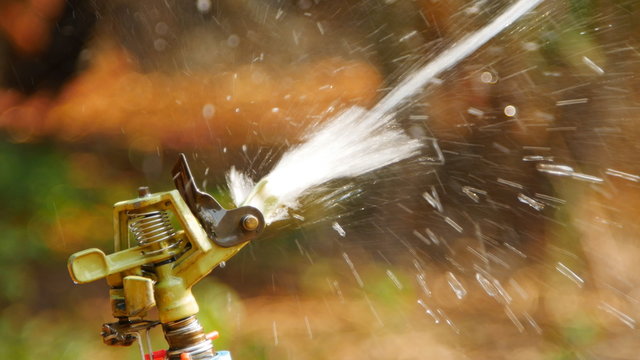 Closeup  water sprinkler irrigation of agricultural field