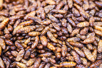 Fried insects.