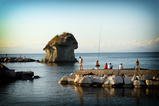 fungo di ischia