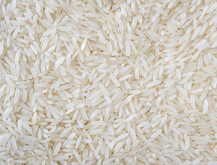 Close up of grains of jasmine rice