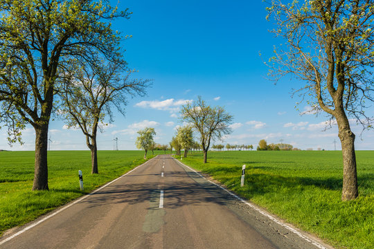 Sachsenstraße Bilder Durchsuchen 648 Archivfotos, und