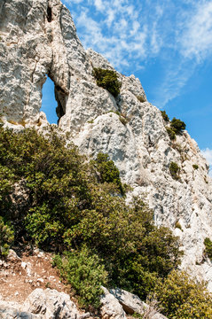Dentelles de Montmirail