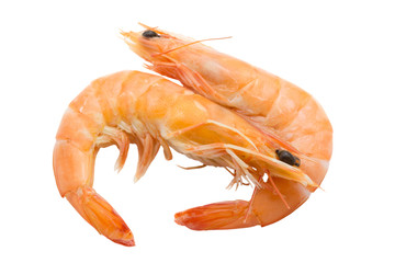Boiled shrimps isolated on white background
