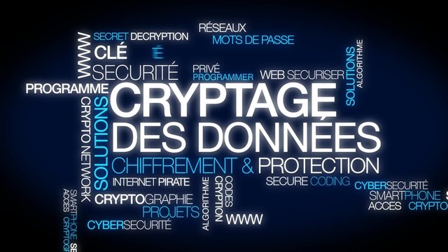 Cryptage de donn&eacute;es encryption chiffrement cryptographie d&eacute;chiffrer code nuage de mots text tag cloud 