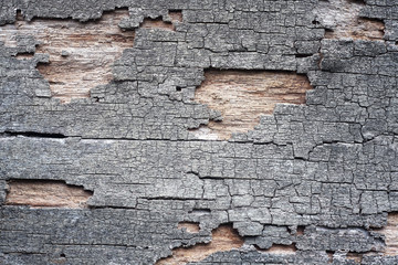 cracked wooden panel background.