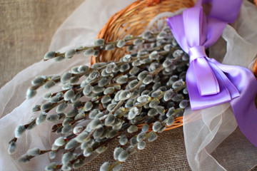 Basket willow basket with satin bow.. © victoriashuba