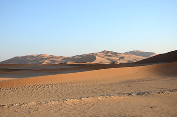 Fototapeta na wymiar Sand dune crest Oman desert