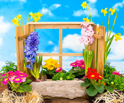 Frühling - Ostern - Garten - Frühjahr - Blumen