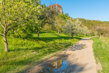 Streuobstwiese und Schloss Goseck im Burgenlandkreis, Sachsen-Anhalt