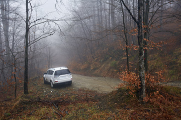 Obraz na płótnie Canvas SUV offroad on a foggy day