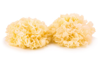 Chinese food tremella fuciformis white fungus isolated