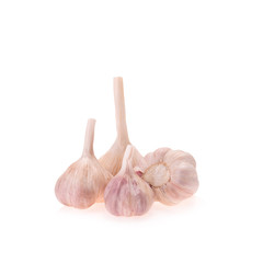 Garlic isolated on white background
