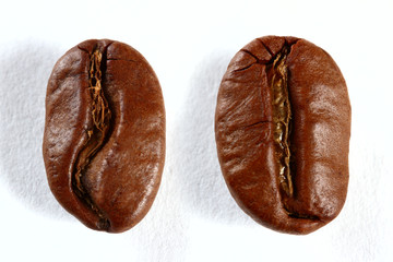 coffee beans