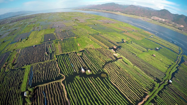 Aerial photo of floating gardens on Inle Lake