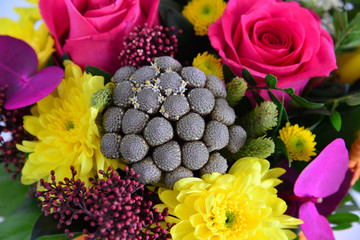 Beautiful bouquet of different flowers close up