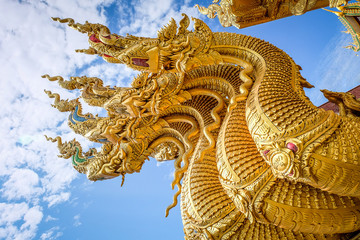 Obraz premium Golden Serpent on blue sky background