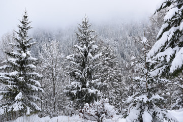 inverno neve paesaggio di montagna nevicata 