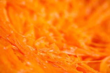 Abstract organic fibers close up