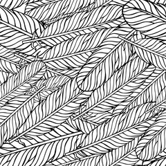 Black white seamless pattern with feathers. Boho Style Elements. Vector Drawing. 