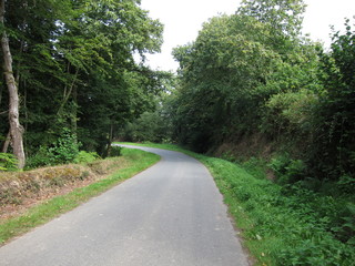 Road at summer