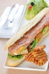 French Baguette chicken Sandwich with potato chips 
