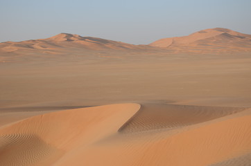 Fototapeta na wymiar Sand dune crest with plane and sand dune background
