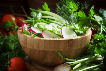 Spring salad with fresh cucumber, radishes, herbs, garlic in bow
