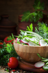 Spring salad with fresh cucumber, radishes, herbs, garlic in bow