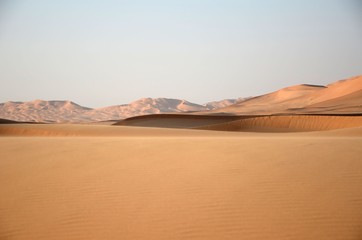Fototapeta na wymiar Sand dune panorama in Oman, empty quarter