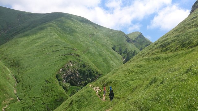 Montes verdes