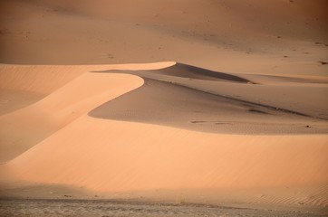 Fototapeta na wymiar Sand dune crest Dubai