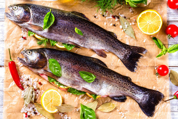 raw trout fishes on the baking papper with lemon slices